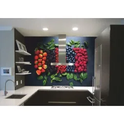FotoMural Frutos Rojos