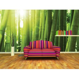 FotoMural Bambú