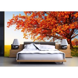 FotoMural Paisaje Arbol