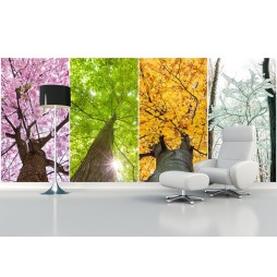 FotoMural Arbol 4 Estaciones