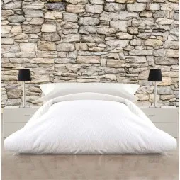 FotoMural Pared De Piedra