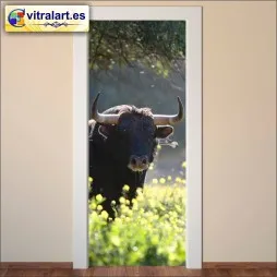 Vinilo Puerta Toro 2