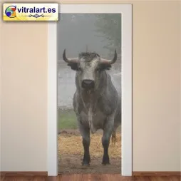 Vinilo Puerta Toro