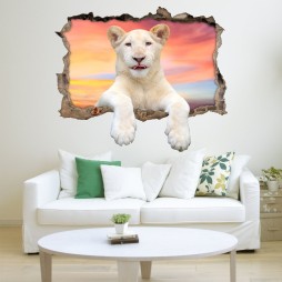 Vinilo Roto 3D Avión