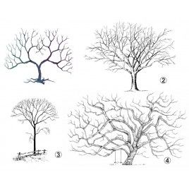 CUADRO ÁRBOL DE HUELLAS 