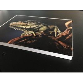 Foto Impresa en Pegasus