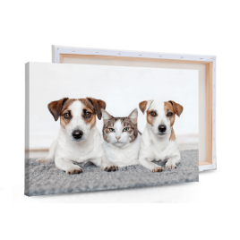 Foto Lienzo Rectangular 3:2